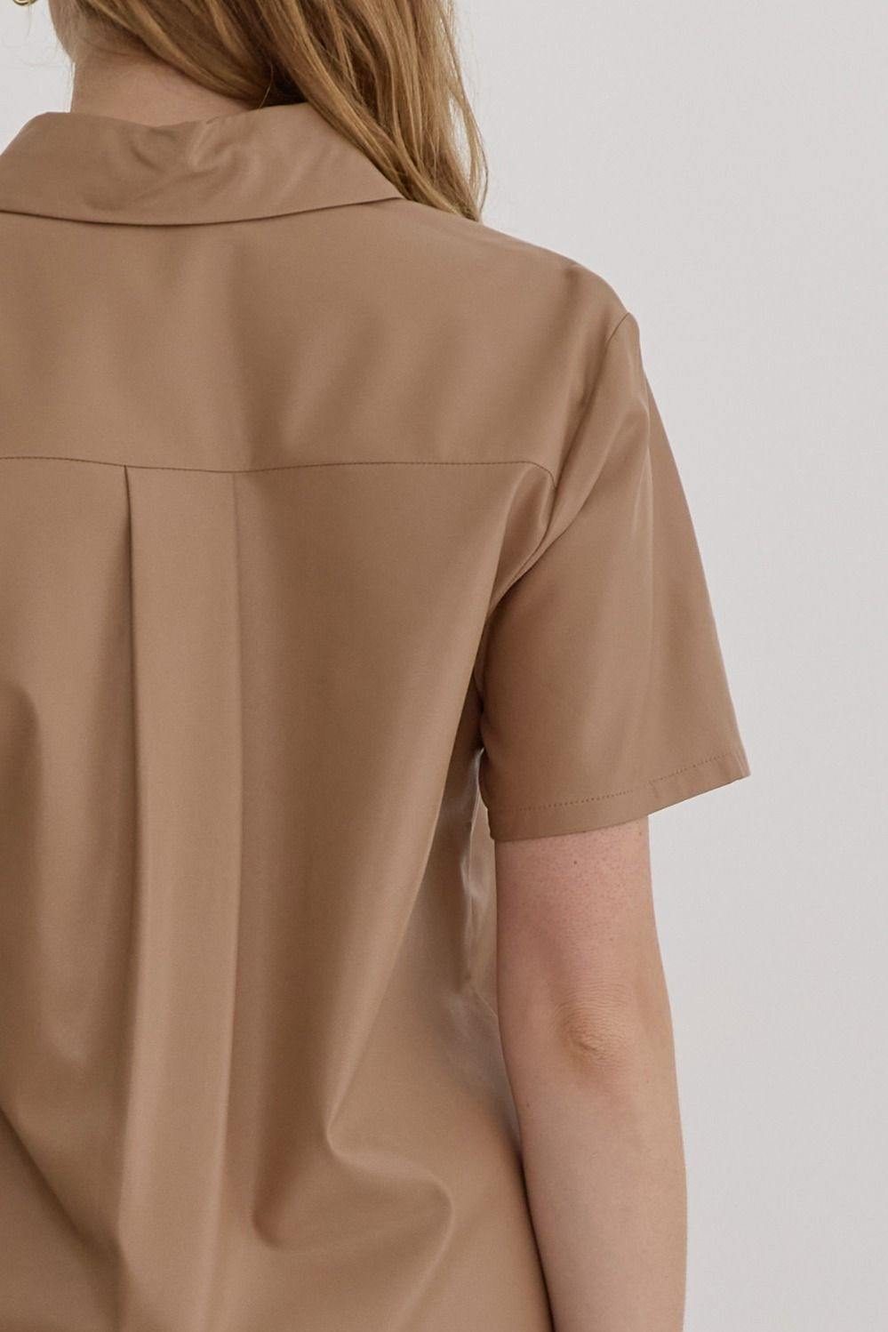 Fall winter 2024 Faux leather collared button-up taupe vegan leather back of dress