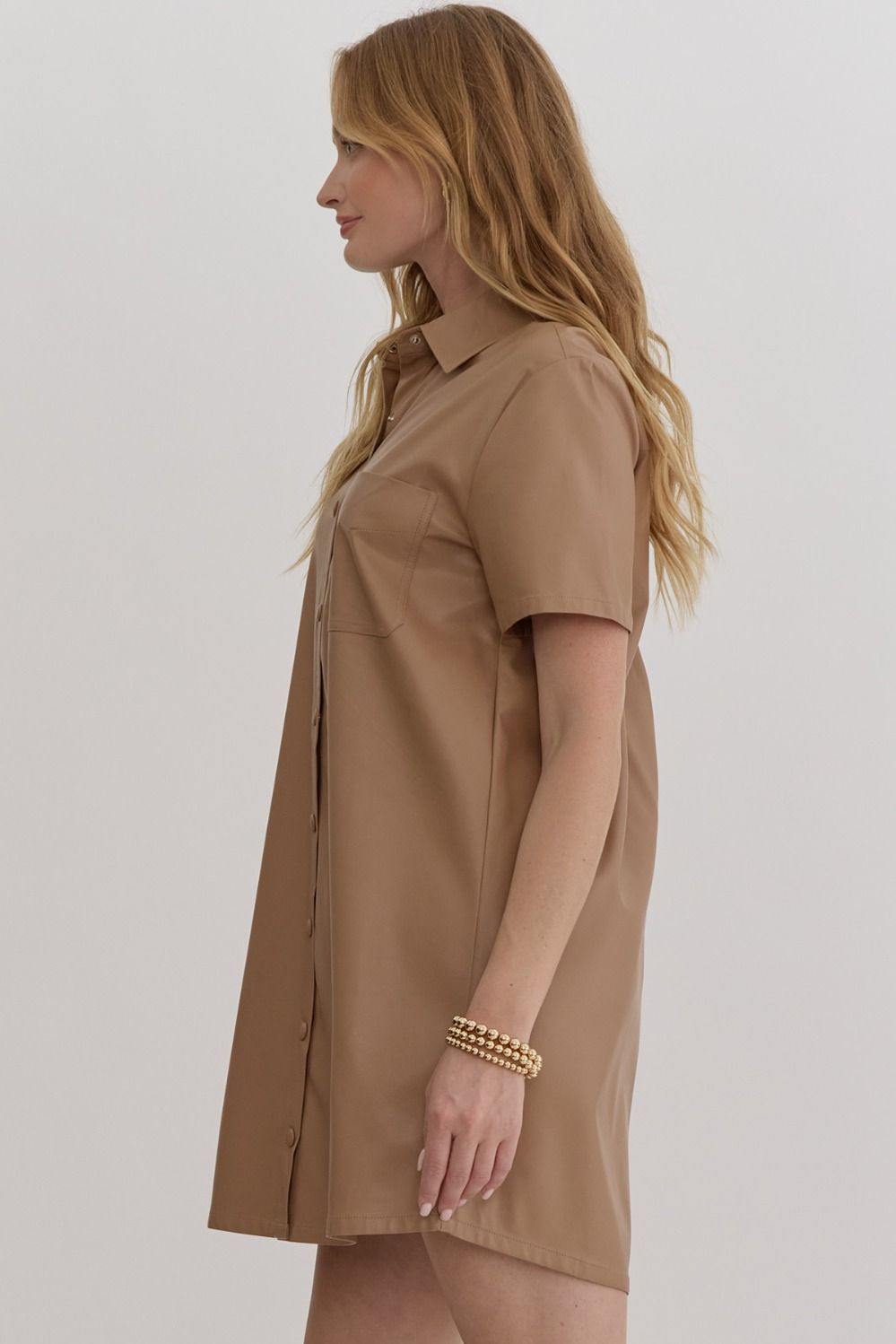 Fall winter 2024 Faux leather collared button-up taupe vegan cream tan color