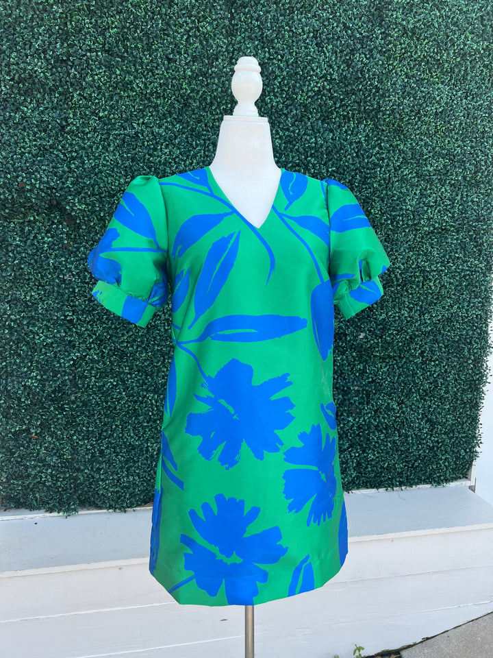 Bright Blue and Green Dress