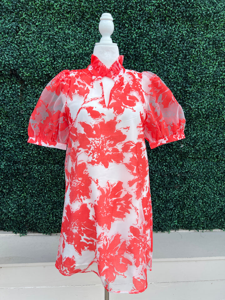 Red and White Organza Dress Best Online Women over 50  Boutique Houston Texas 