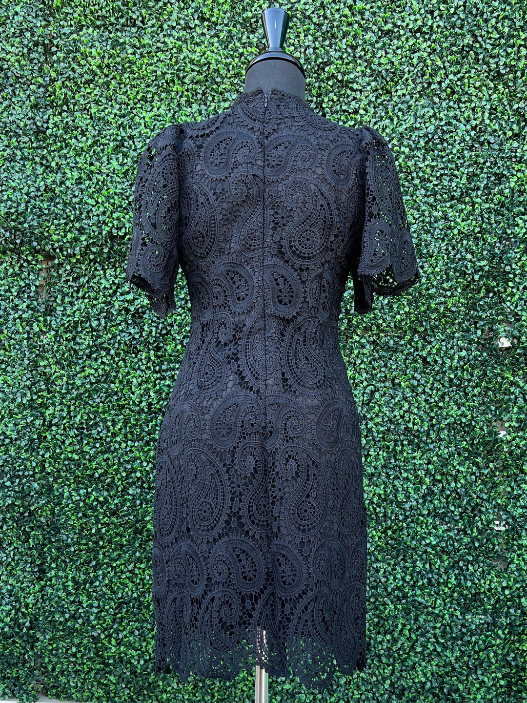 jade brand clothing dress near me