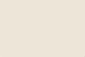 ivory beige colored handbag bee