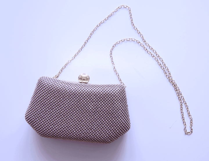 Vintage Crystal Clutch