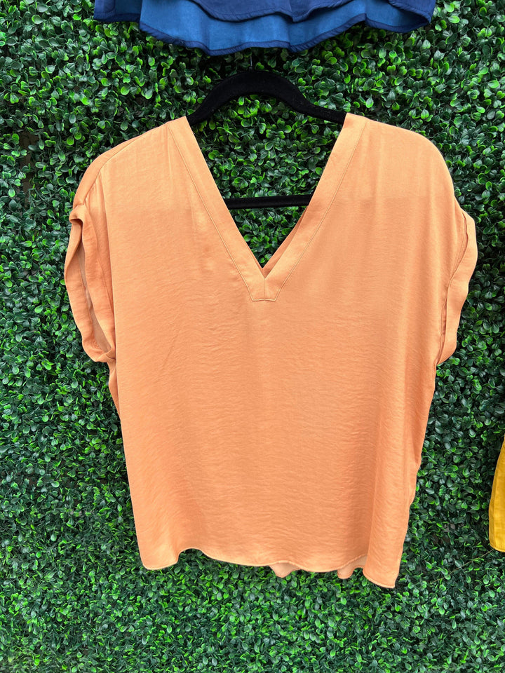 Tres Chic Houston tan silky top