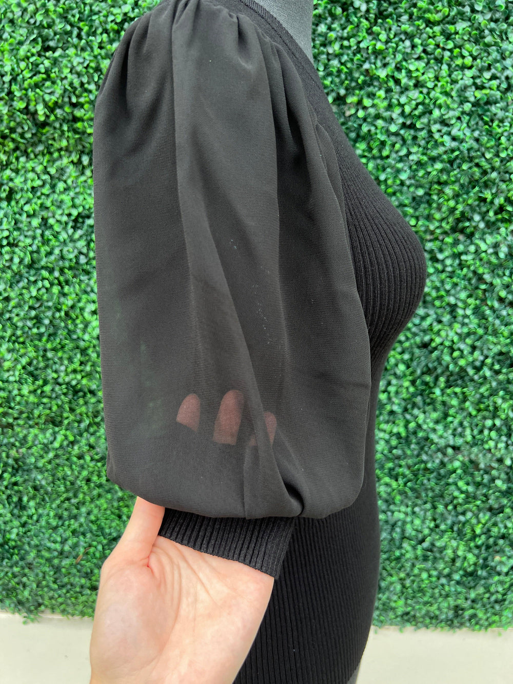 Sheer Short Sleeves Sweater top black online women's boutique